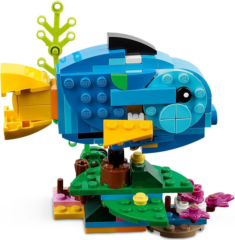 Exotic Parrot - View 8