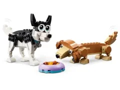 Adorable Dogs - View 7
