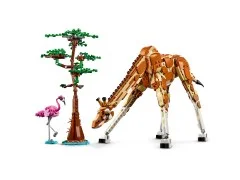 Wild Safari Animals - View 4