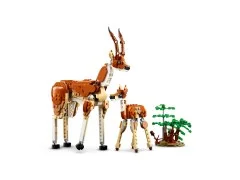 Wild Safari Animals - View 7