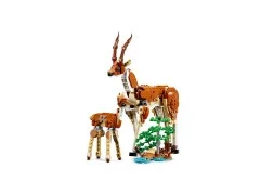 Wild Safari Animals - View 8