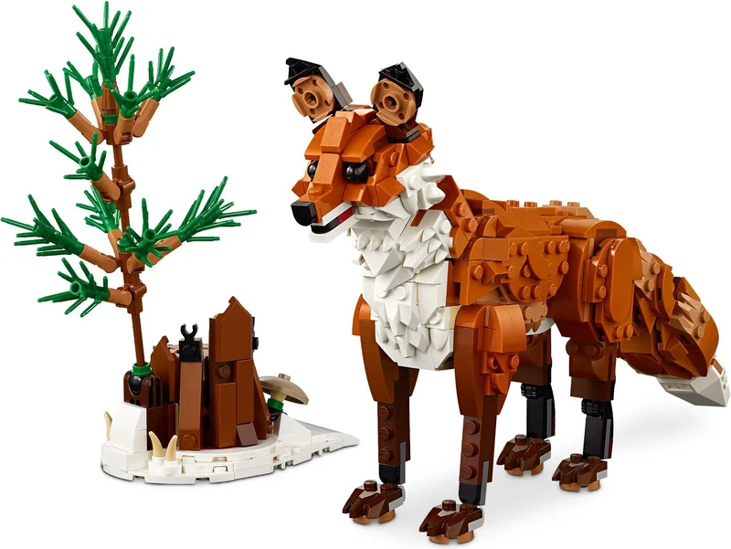 Forest Animals: Red Fox - View 3