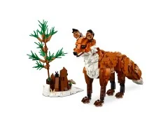 Forest Animals: Red Fox - View 3