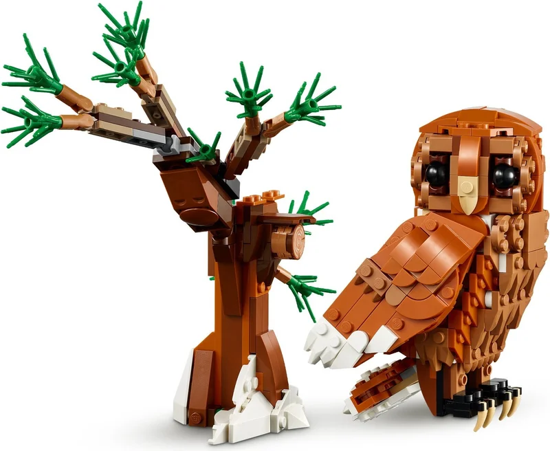 Forest Animals: Red Fox - View 4