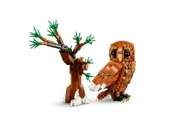Forest Animals: Red Fox - View 4