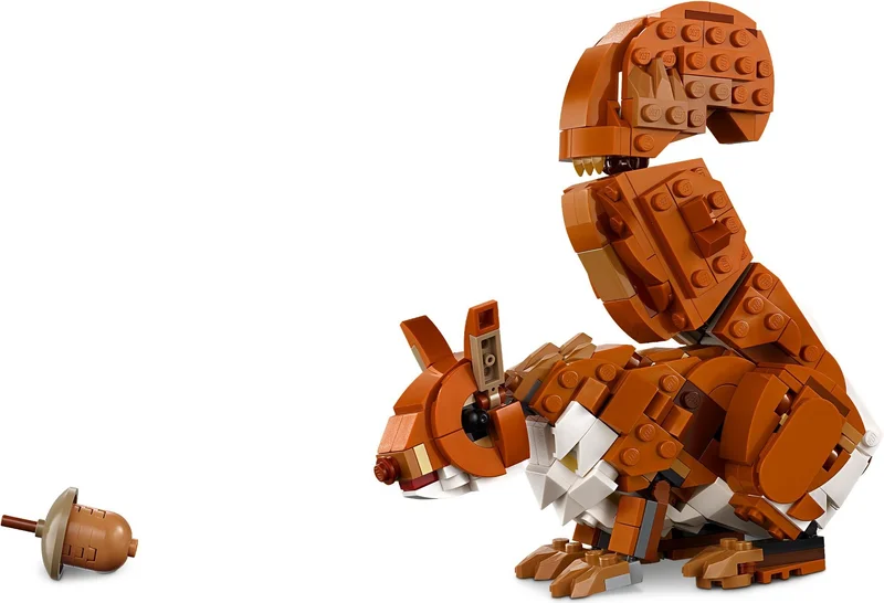 Forest Animals: Red Fox - View 7