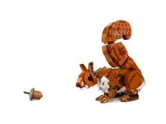 Forest Animals: Red Fox - View 7