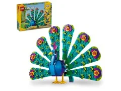 Exotic Peacock - View 2