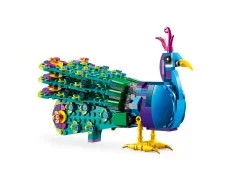 Exotic Peacock - View 3