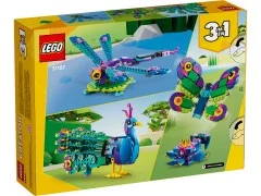Exotic Peacock - View 8