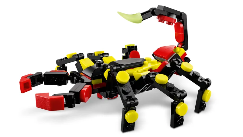 Wild Animals: Surprising Spider - View 6
