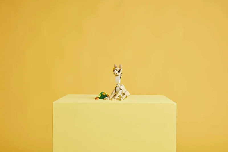 Cute Bunny - View 9