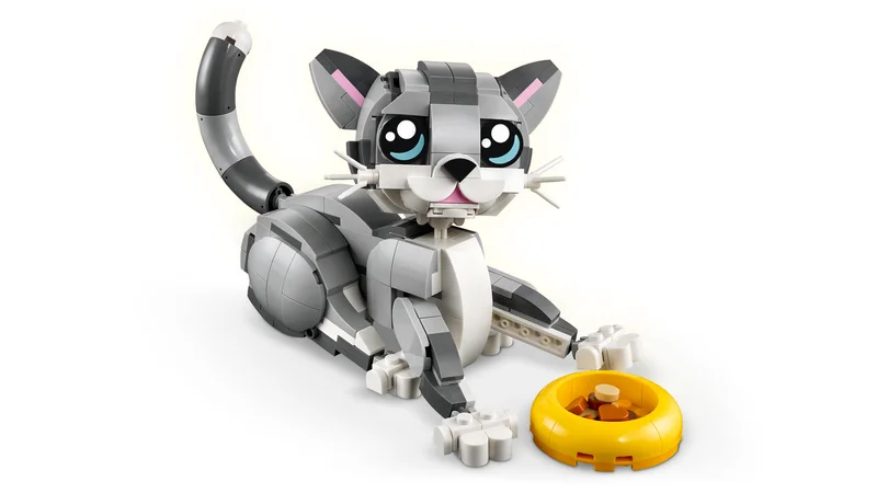 Playful Cat - View 3