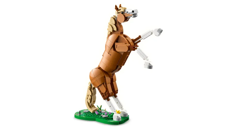 Beautiful Horse - View 7