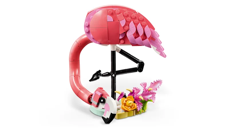 Wild Animals: Pink Flamingo - View 4