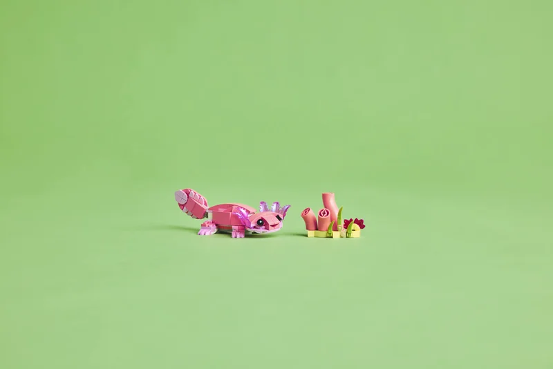 Wild Animals: Pink Flamingo - View 7