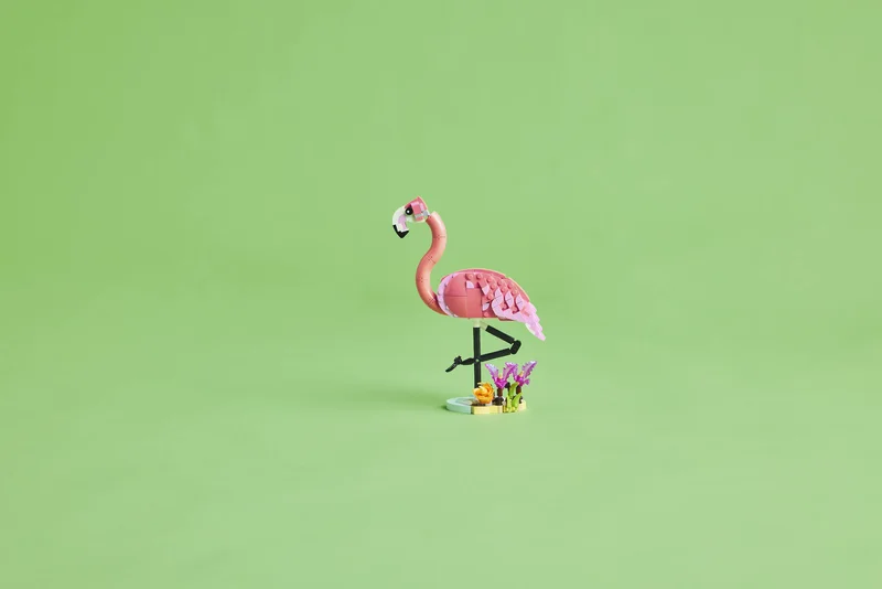 Wild Animals: Pink Flamingo - View 8