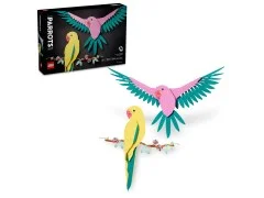Macaw Parrots - View 2