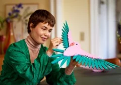 Macaw Parrots - View 5