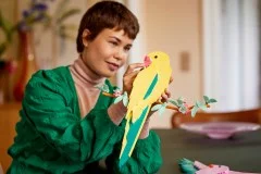 Macaw Parrots - View 6