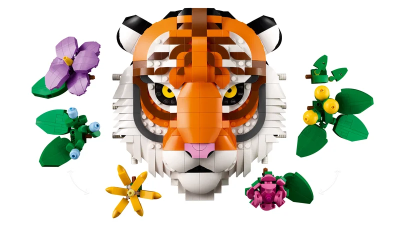 Tiger - View 2