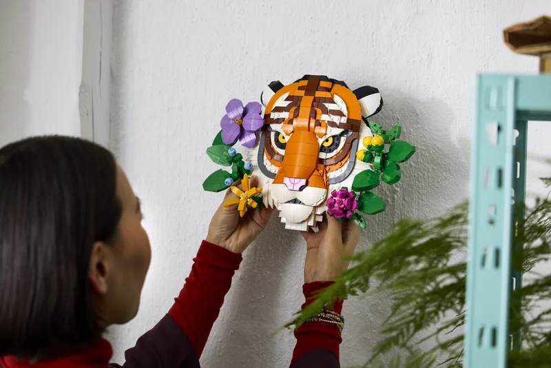 Tiger - View 4