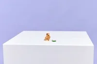 Cute Hamster with a Flower - View 9
