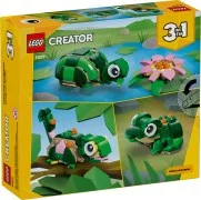 Turtle with a Water Lily Flower - View 2