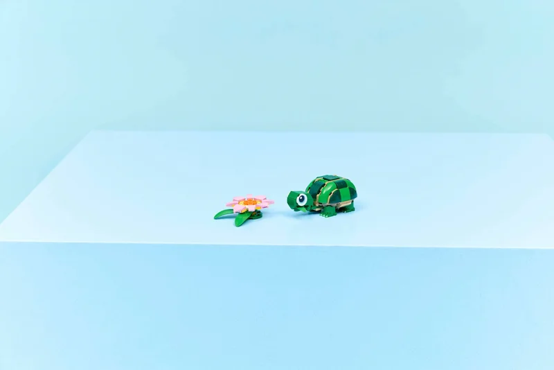 Turtle with a Water Lily Flower - View 6