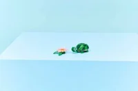 Turtle with a Water Lily Flower - View 6