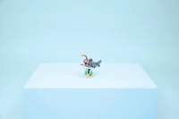 Fierce Shark with a Treasure Chest - View 8