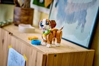 Cute Animals: Playful Puppy Dog - View 6