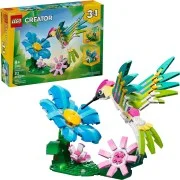 Wild Animals: Colorful Hummingbird - View 3