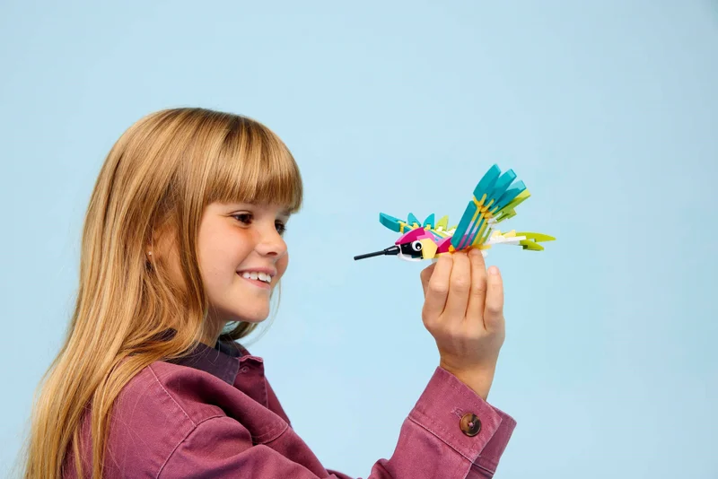 Wild Animals: Colorful Hummingbird - View 6
