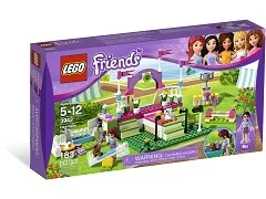 Heartlake Dog Show - View 2