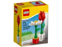 Flowers - View 2