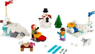 LEGO 40424-1 Winter Snowball Fight — 149 pieces, released 2020