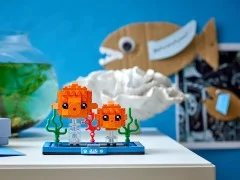 Goldfish and Fry - View 4