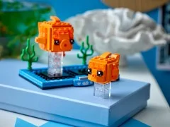 Goldfish and Fry - View 5