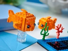 Goldfish and Fry - View 6