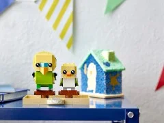 Budgie and Chick - View 4