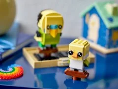 Budgie and Chick - View 5