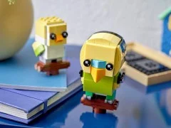 Budgie and Chick - View 6