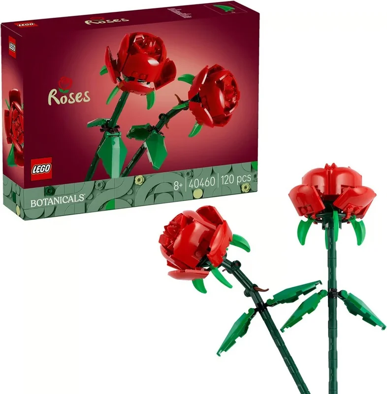 Roses - View 2