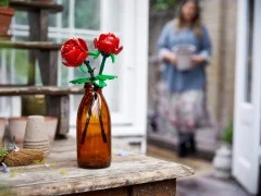 Roses - View 3