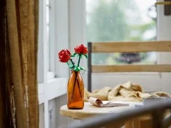 Roses - View 4