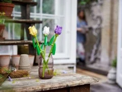 Tulips - View 3