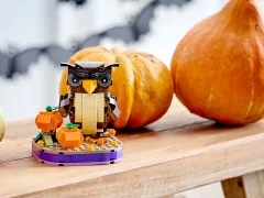 Halloween Owl - View 4