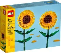 Sunflowers - View 3