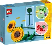 Sunflowers - View 4